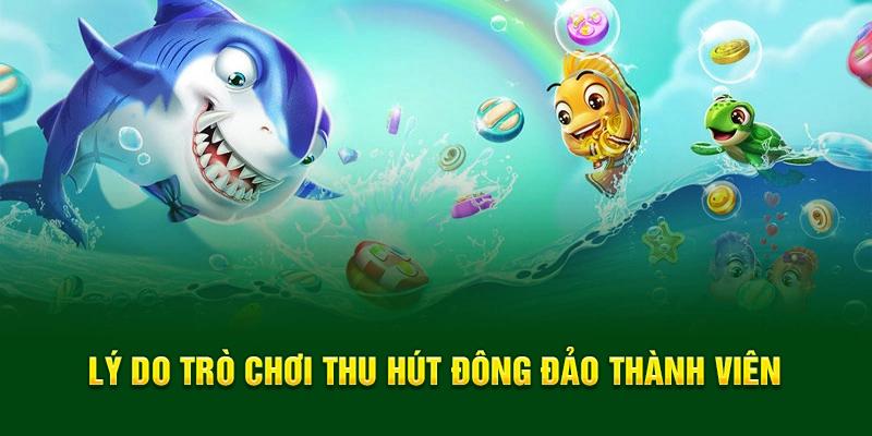 Lý do trò chơi thu hút đông đảo thành viên